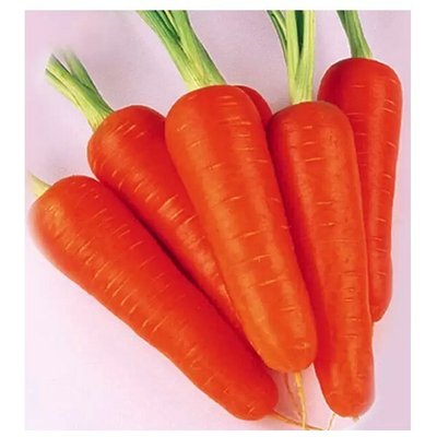 Насіння моркви АБАКО F1 , 400 шт (зіппер) 4821000095010 фото