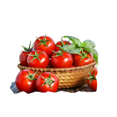 Насіння томату KS 2910 F1, 10 нас (зіппер)KITANO SEEDS 4821000039236 фото