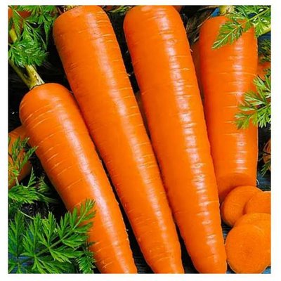 Насіння моркви Віта Лонга , 3 г (зіппер) 4821000095492 фото
