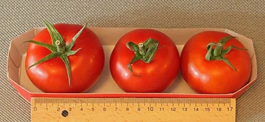 Похожие по цвету и форме плоды; на фотографии Gourmato