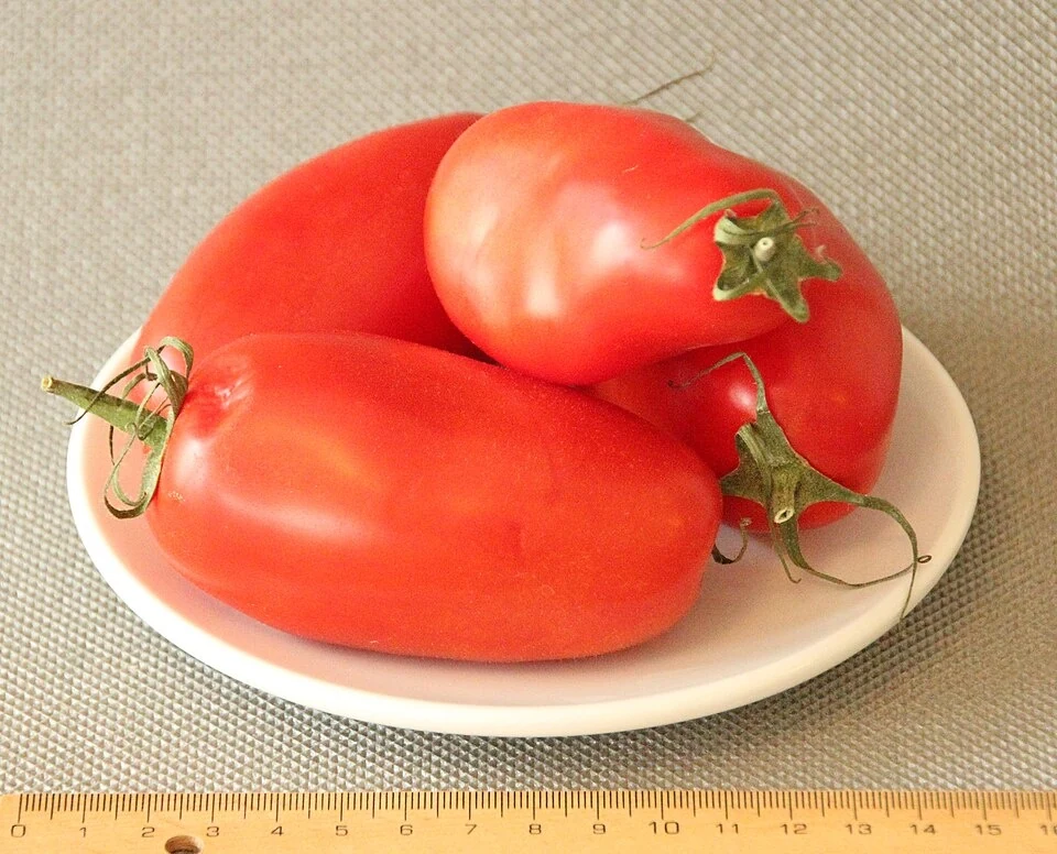 Похожие по цвету и форме плоды; на фотографии San Marzano