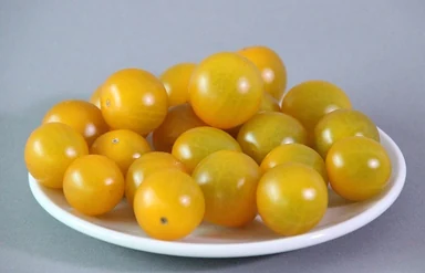 Похожие по цвету и форме плоды; на фотографии Cherry Gelb
