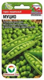 Горох Муцио 4 г (Сиб Сад)