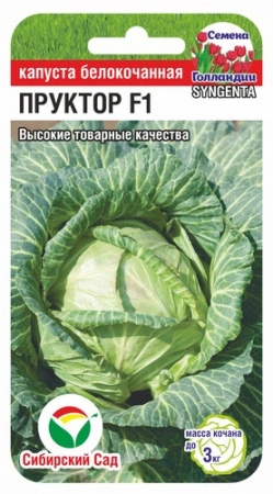 Капуста Пруктор F1 10 шт (Сиб Сад)
