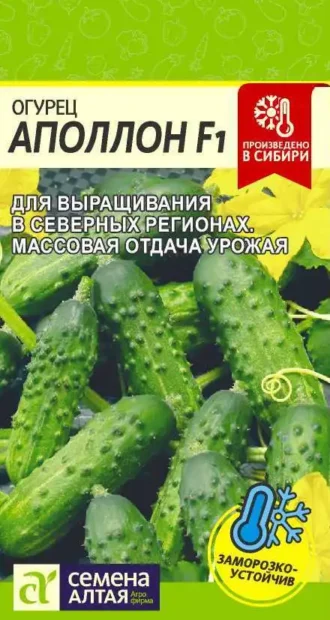 Огурец Аполлон F1 6 шт (Семена Алтая)