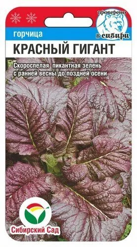 Горчица Красный Гигант Салатная 0,5 г (Сиб Сад)