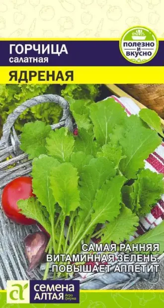 Горчица Ядреная Салатная 0,5 г (Семена Алтая)