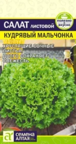 Салат Кудрявый Мальчонка 0,5 г (Семена Алтая)