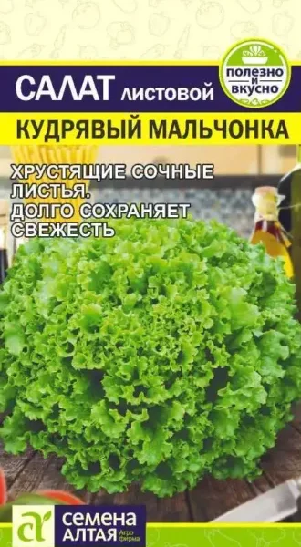 Салат Кудрявый Мальчонка 0,5 г (Семена Алтая)