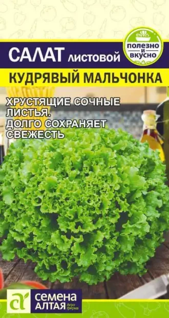 Салат Кудрявый Мальчонка 0,5 г (Семена Алтая)