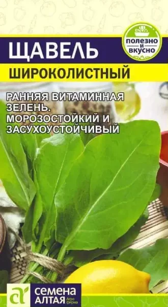 Зелень Щавель Широколистный convert.io 330x619 1