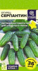 Огурец Серпантин 0,5 г ! (Семена Алтая)