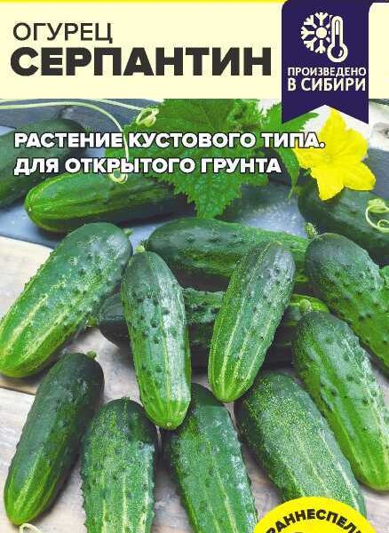 Огурец Серпантин 0,5 г ! (Семена Алтая)