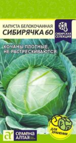 Капуста Сибирячка 60 0,5 г (Семена Алтая)