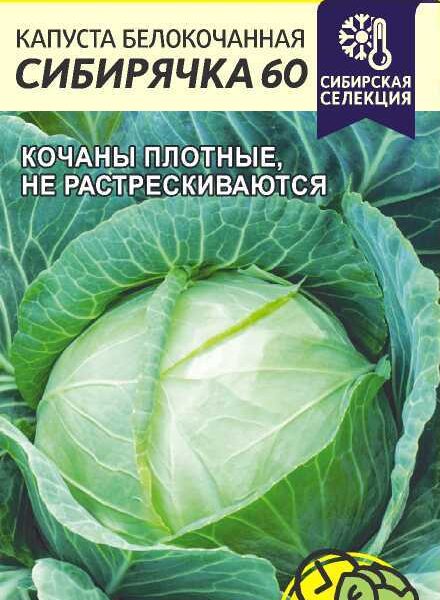 Капуста Сибирячка 60 0,5 г (Семена Алтая)