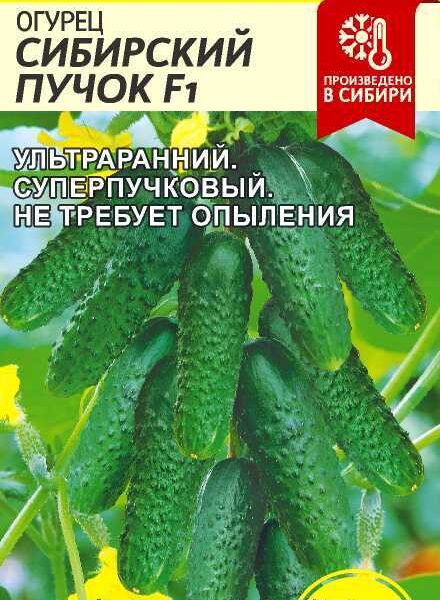 Огурец Сибирский Пучок F1 5 шт (Семена Алтая)