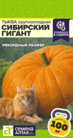 Тыква Сибирский Гигант 2 г (Семена Алтая)
