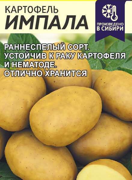Картофель Импала 0,02 г (Семена Алтая)