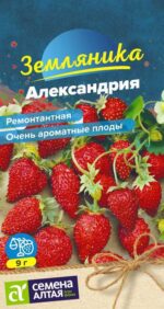 Земляника Александрия ремонтантная 0,03 г (Семена Алтая)