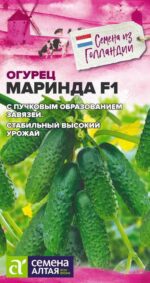 Огурец Маринда F1 5 шт (Seminis) Семена Алтая
