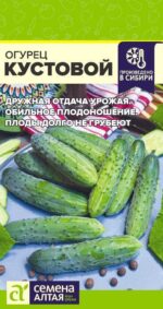 Огурец Кустовой 0,5 г (Семена Алтая)
