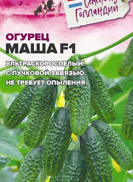 Огурец Маша F1 5 шт (Seminis) Семена Алтая