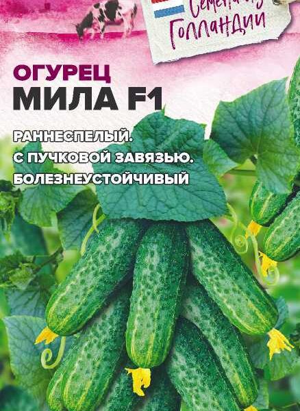 Огурец Мила F1 5 шт (Seminis) Семена Алтая