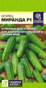 Огурец Миранда F1 6 шт (Семена Алтая)