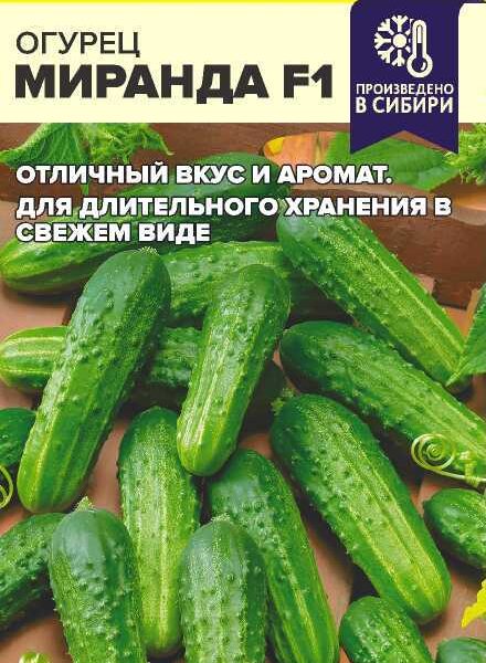 Огурец Миранда F1 6 шт (Семена Алтая)