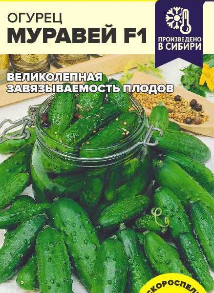 Огурец Муравей F1 5 шт (Семена Алтая)