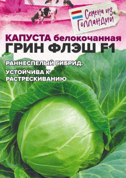 Капуста Грин Флэш F1
