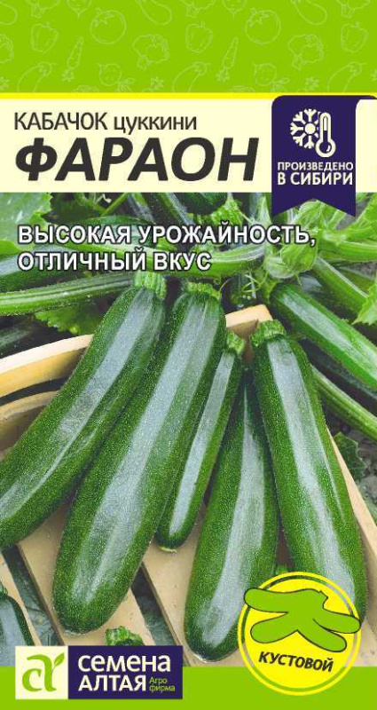 Кабачок Фараон