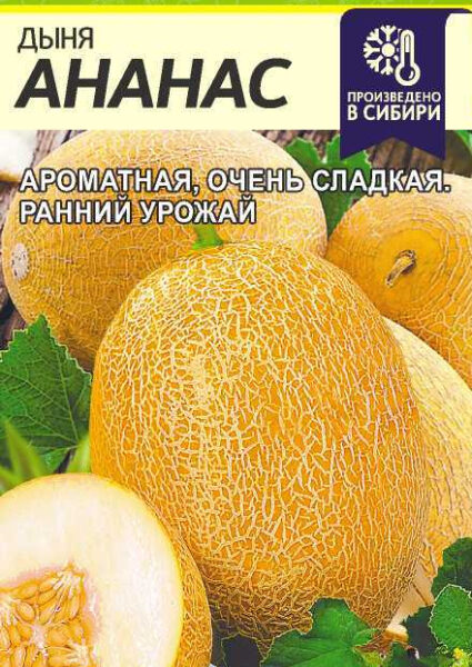 Дыня Ананас