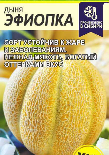 Дыня Эфиопка/Сем Алт/цп 1 гр.