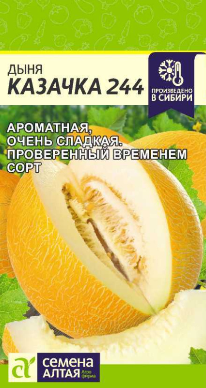 Дыня Казачка 244