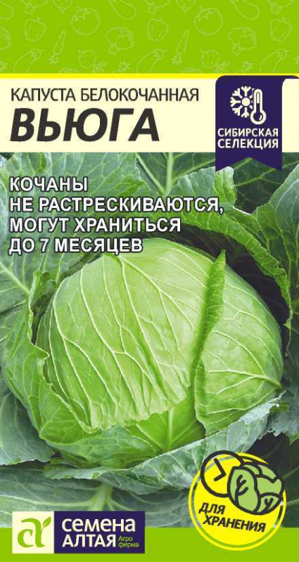Капуста Вьюга
