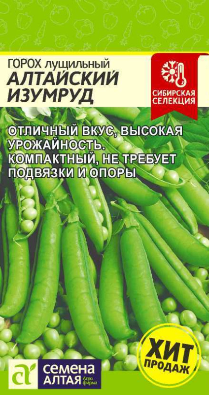 Горох Алтайский Изумруд