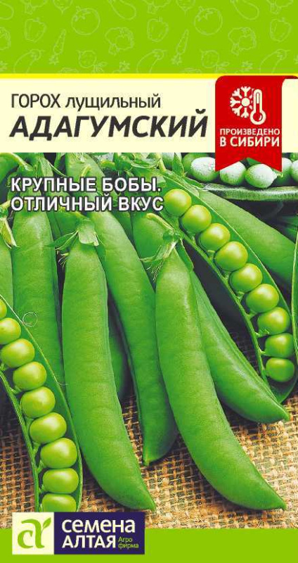 Горох Адагумский