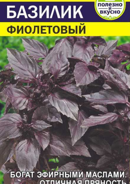 Зелень Базилик Фиолетовый