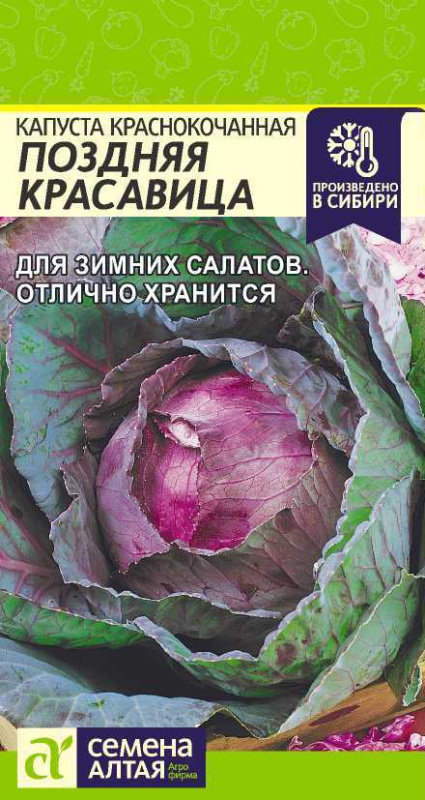 Капуста Краснокочанная Поздняя Красавица