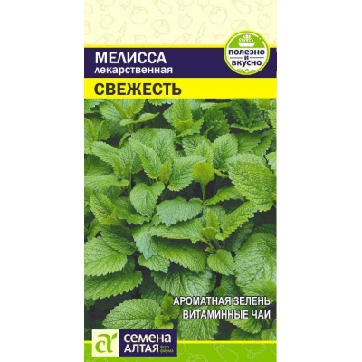 Зелень Мелисса Свежесть лекарственная